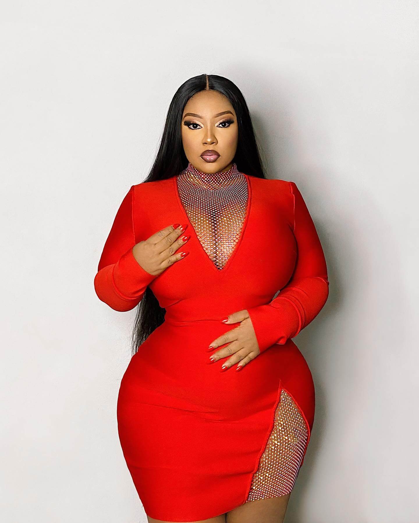 Bodycon Dress with a Rhinestone Mesh Panel